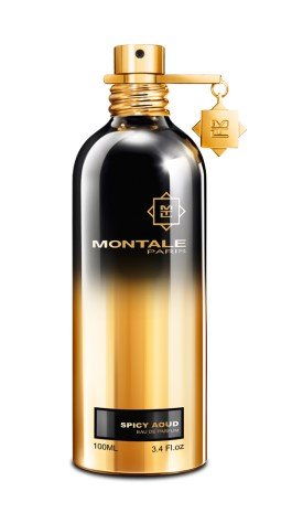Spicy Aoud EDP 100 ml